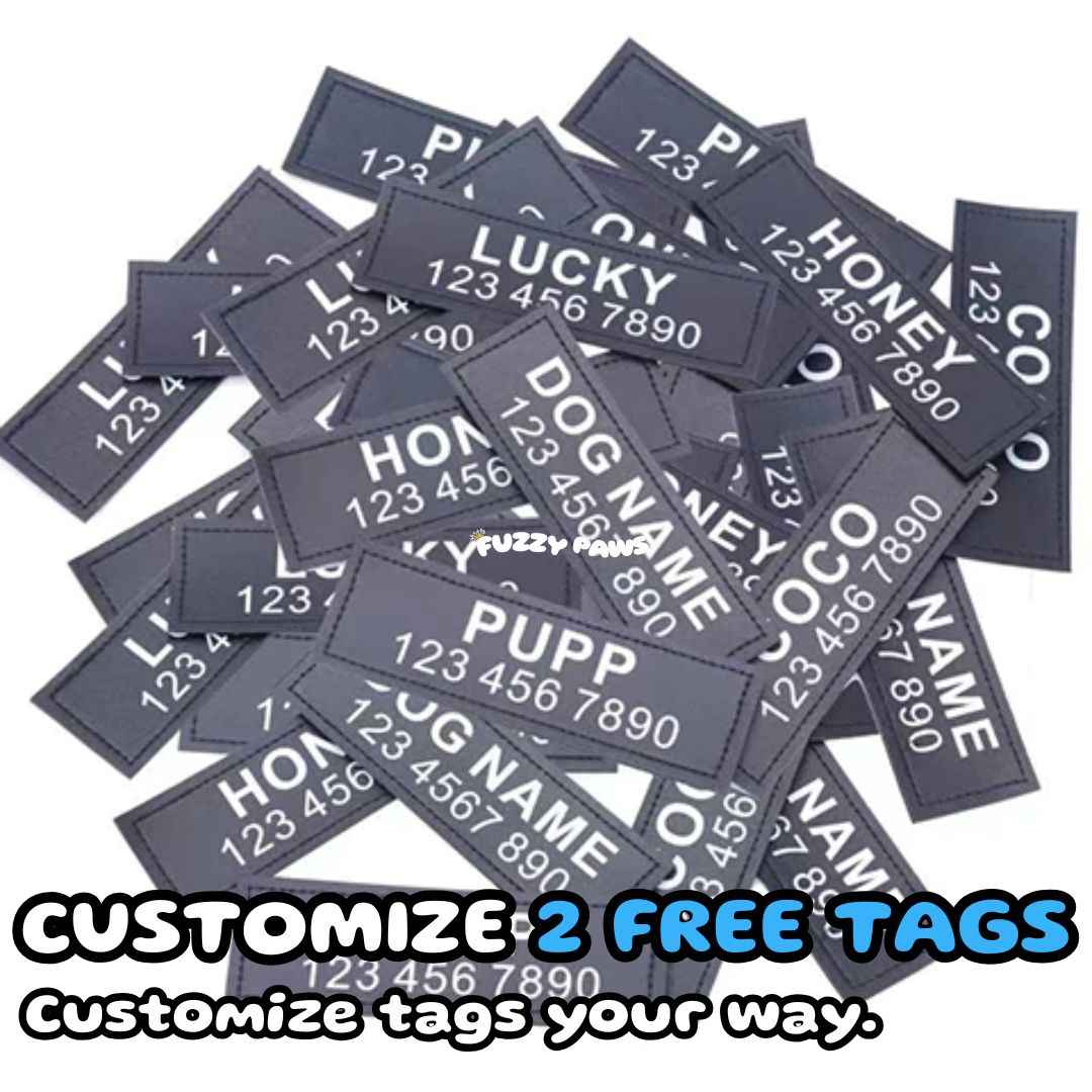 Personalized Dog Harness – Name and Phone Tag – Safe Buddy Limited Edition