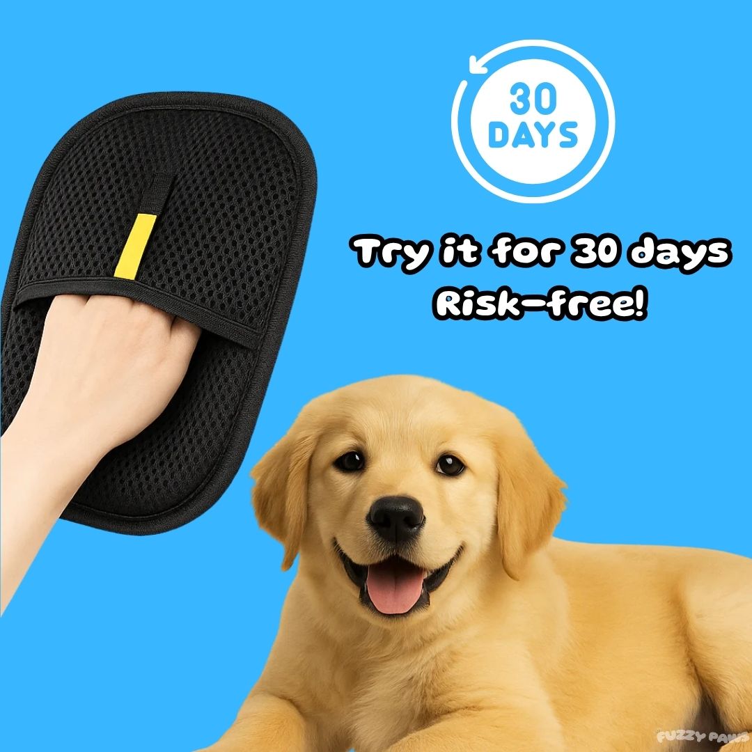 Dog Hair Removal Glove