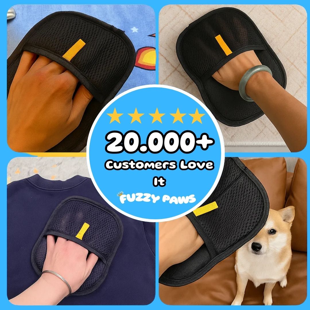 Dog Hair Removal Glove