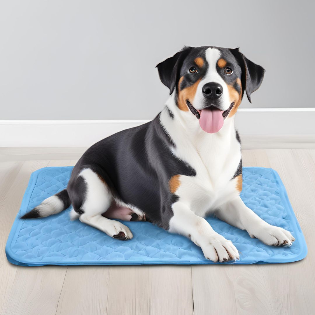Cooling Mat for Dogs and Cats – Self-Cooling, Washable