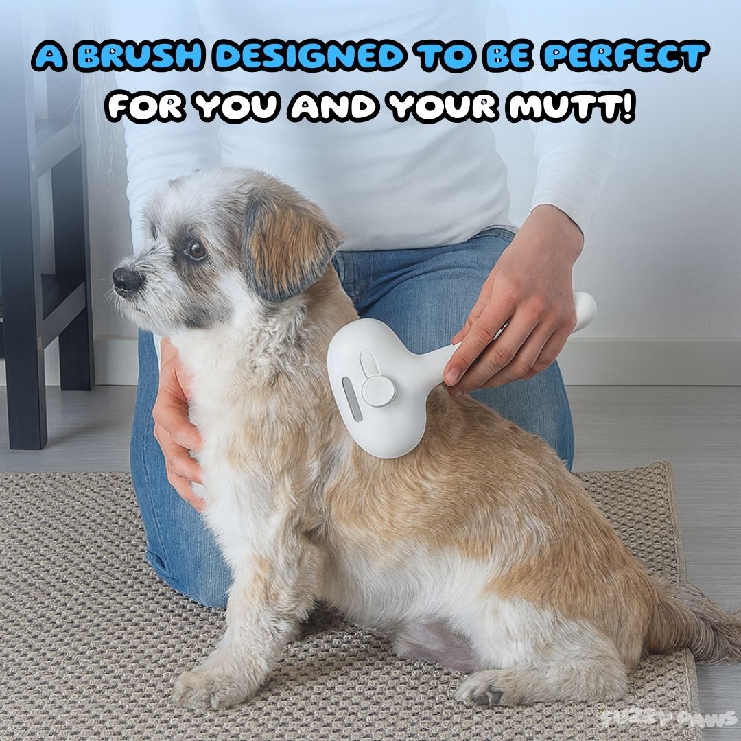 Rechargeable 3-in-1 Pet Brush with Steam Spray – Hair Remover, Massager & Grooming Tool