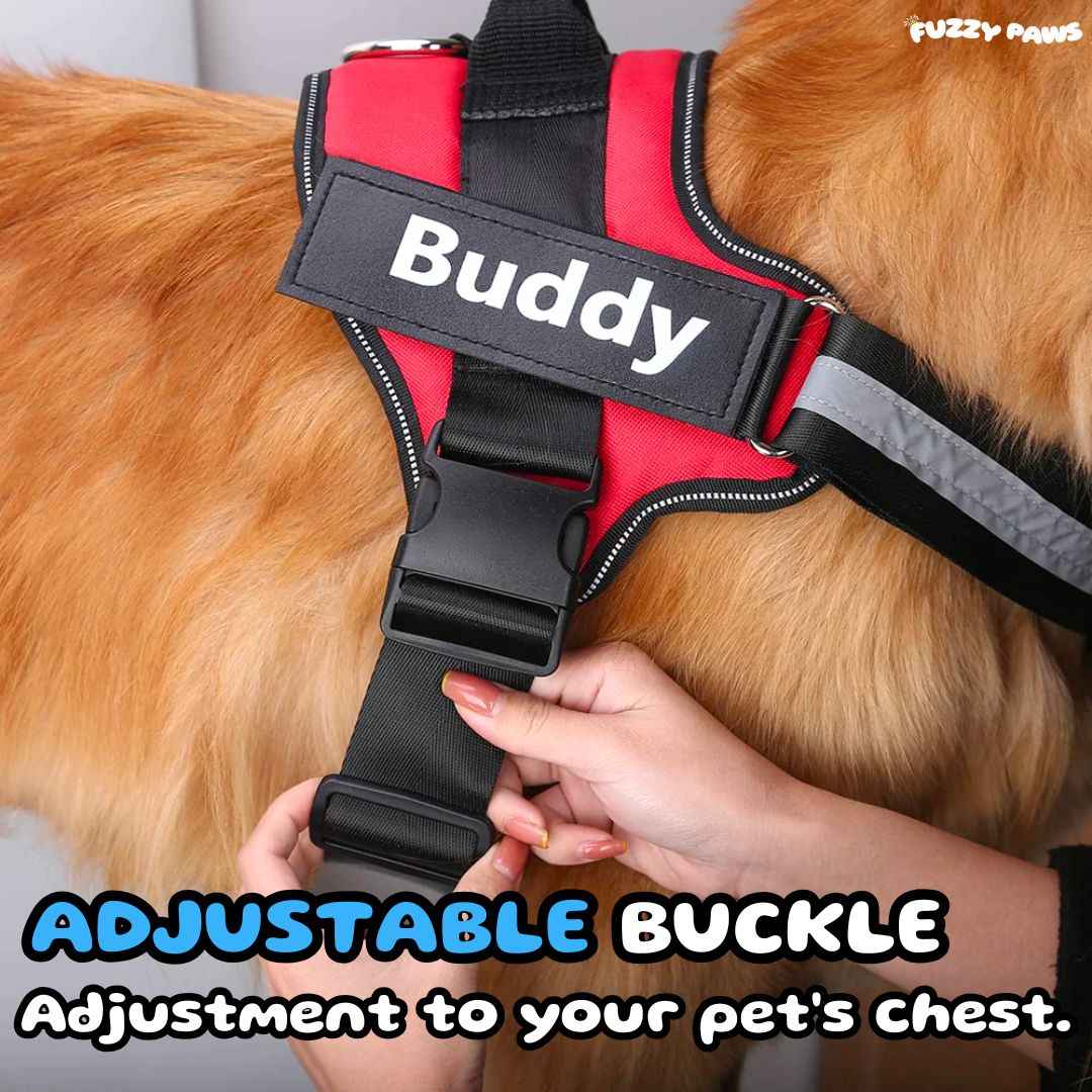 Personalized Dog Harness – Name and Phone Tag – Safe Buddy Limited Edition