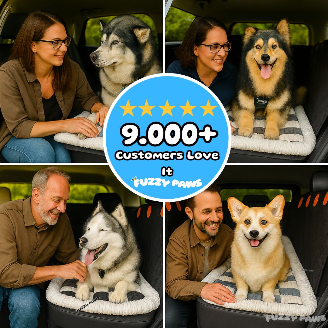 Padded and Washable Car Dog Bed