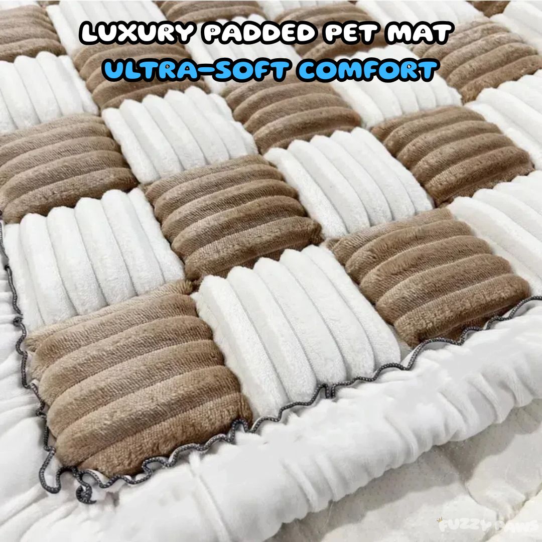 Padded and Washable Car Dog Bed