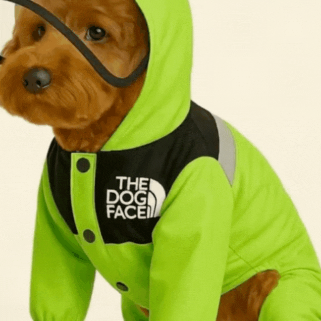 Dog Raincoat – Waterproof and Lightweight Jacket by The Dog Face