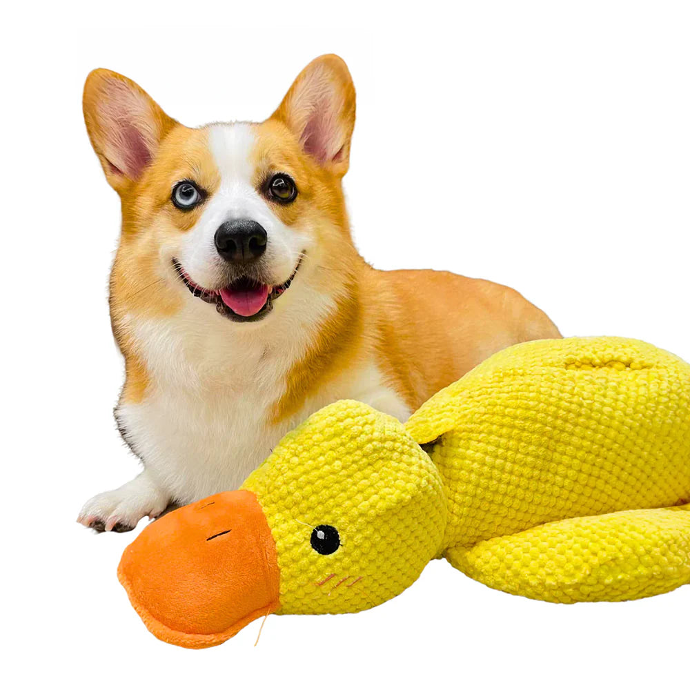 Calming Duck Dog Toy