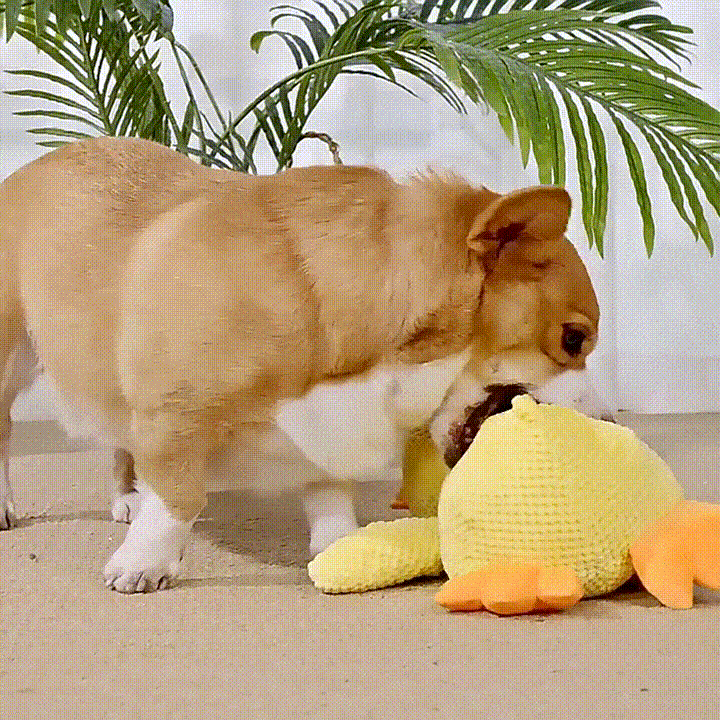 Calming Duck Dog Toy