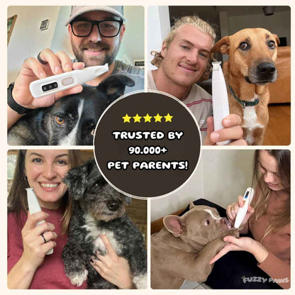 Rechargeable Electric Dog Grooming Clipper with Brush