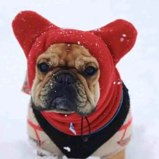 Chápeu de Lã para Cães Ajustável e Á Prova de Vento - Mundo Animalito